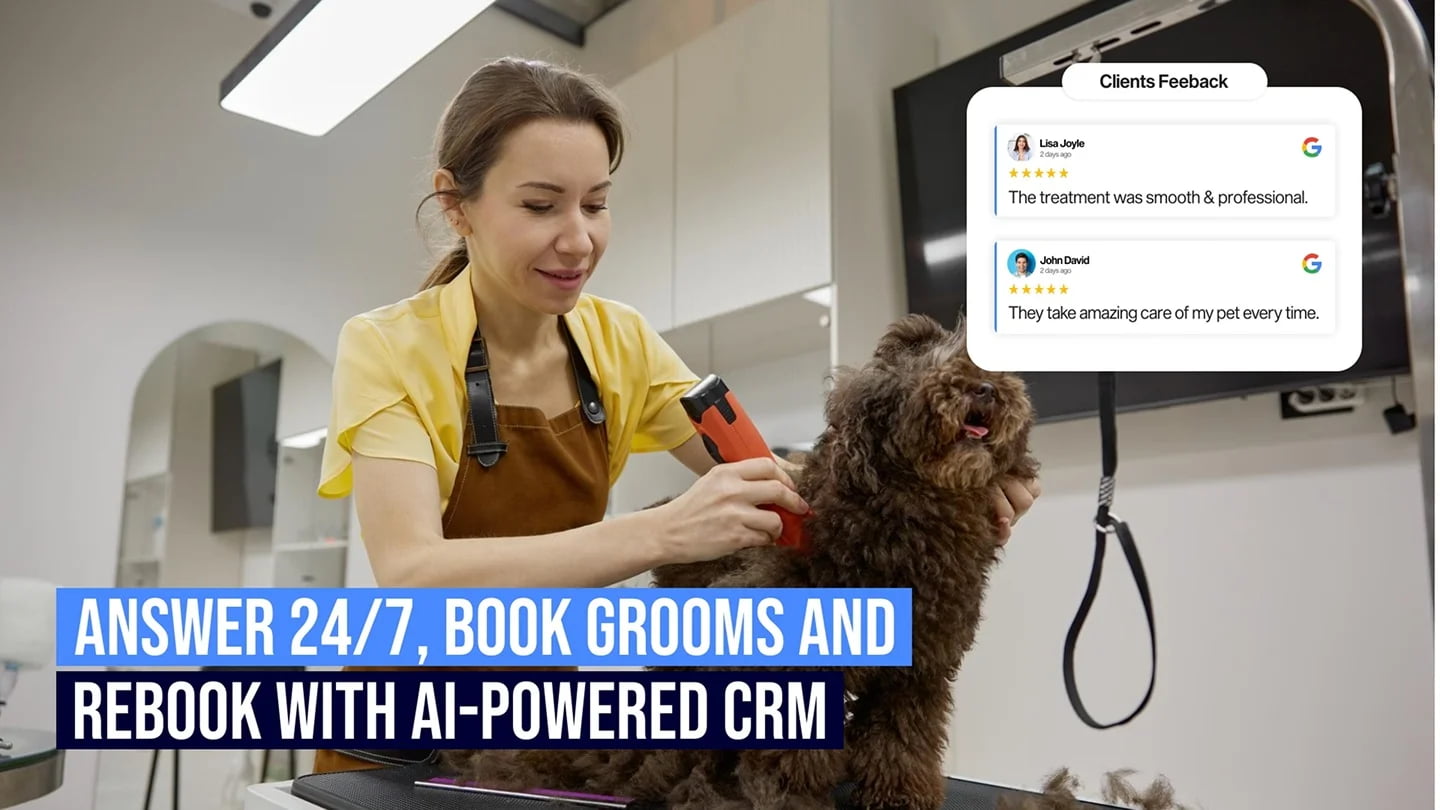 ai-powered-crm-for-pet-grooming-software