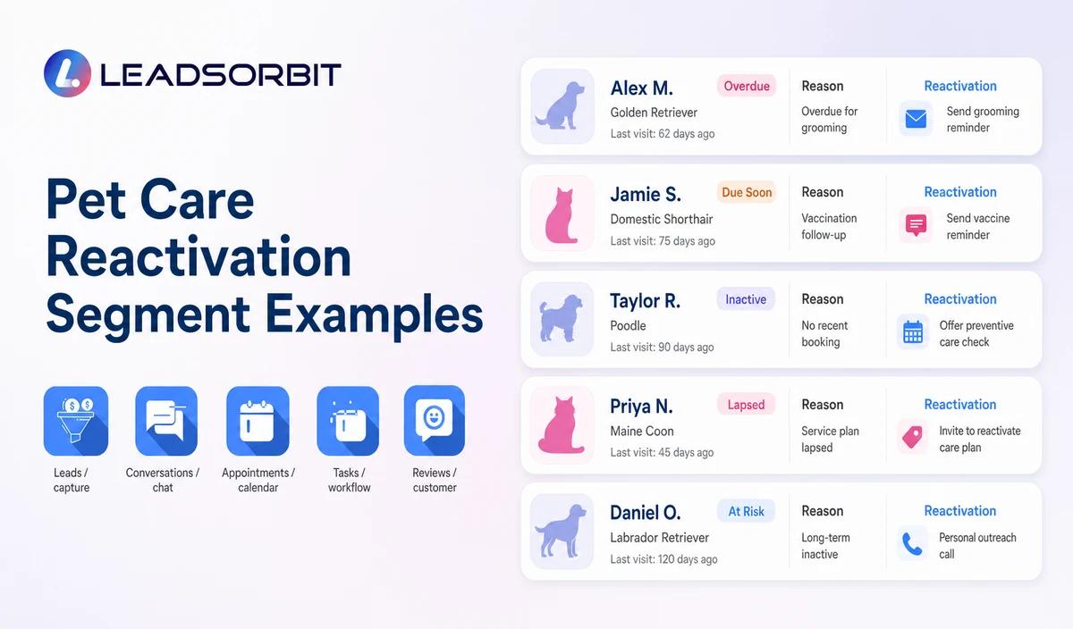 Explain the key decisions in pet care reactivation segment examples